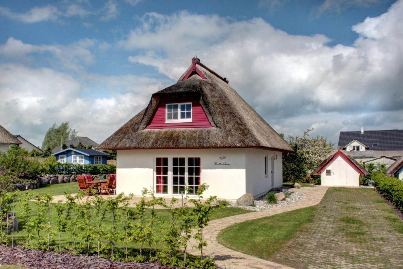 Holiday home Butterblume Zinnowitz